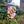 C&C Maryland Boat Flag